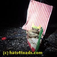 /home//u458753944/public_html/sourcegallery//////Roxborough Toad Detour/2013-2019/2018/2018-02-21/P2210059.JPG